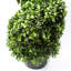 120cm Faux Topiary in Pot Liner