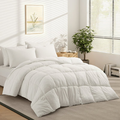 Wayfair Sleep Lightweight Down Alternative Comforter