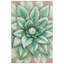 Décoration murale succulent