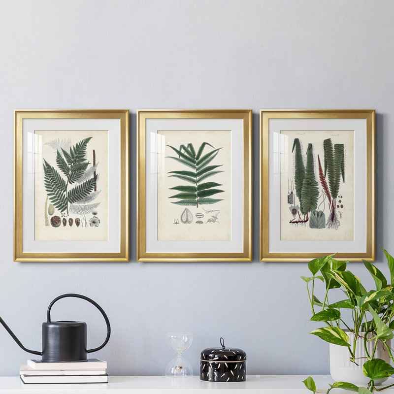 «Ferns IV», reproduction encadrée de qualité supérieure - prête à être accrochée, H 36,5 po x l 79,5 po x P 1 po, Cadre doré