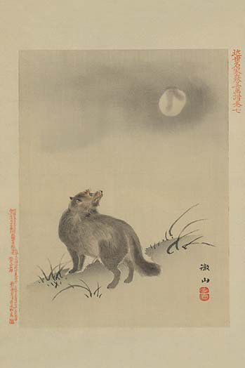 " Fox "