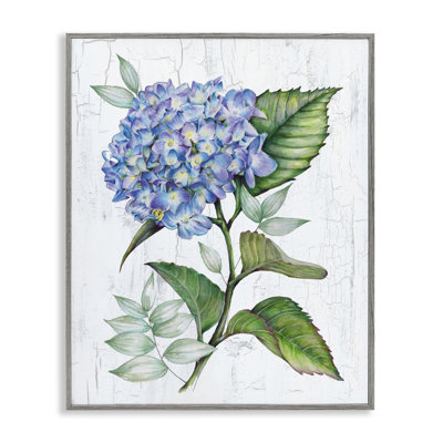 «English Manor Hydrangea», estampe numérique encadrée par Levison Design bf-858