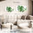 Monstera Leaf-108744807