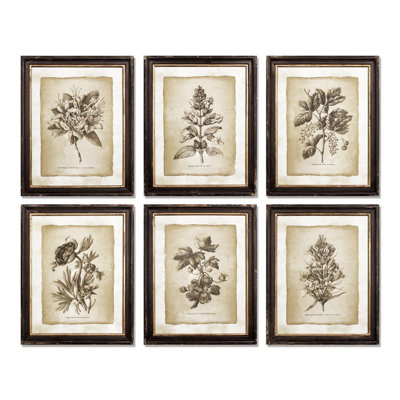 Vintage Floral 6 Piece Framed Graphic Art Set