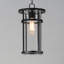 Luminaire suspendu Audrick Vivex