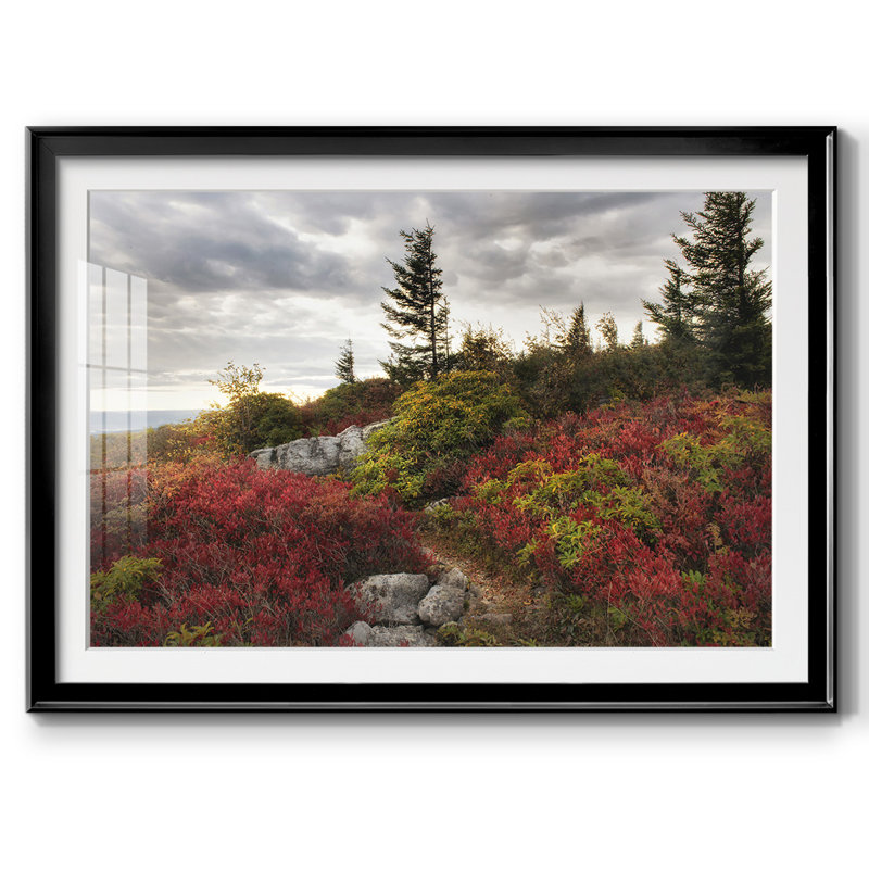 Highland Trail, reproduction d'art encadrée sur papier, Noir, H 19 po x l 27 po x P 1,5 po