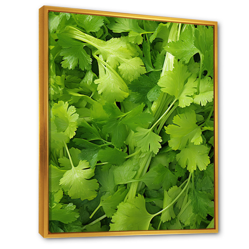 «Herbs Parsley Dance 2 - Floral Herbs», art mural, Cadre flottant doré, H 40 po x l 30 po