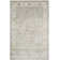Setser Garden Viscose Oriental Rug in Silver/Cream