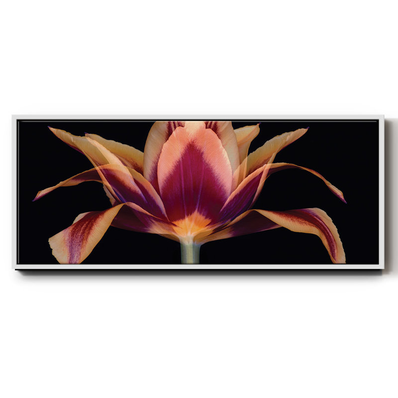 Tulipe rouge - toile encadrée, H 20 po x l 50 po