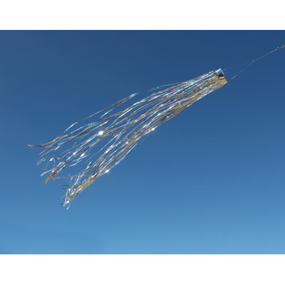 Manche à air argentée holographique