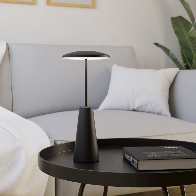 Riner Stainless Steel USB Novelty Lamp, Black