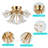 4 - Light 19.7'' LED Flush Mount