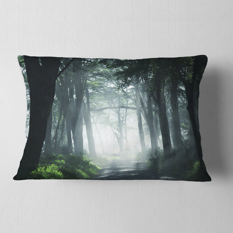 Coussin Dense Rain Forest At Sunrise