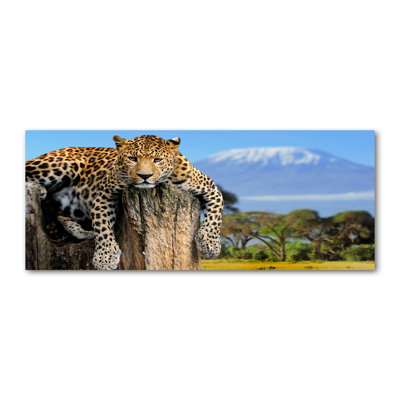 Leopard On The Trunk - No Frame Print on Canvas
