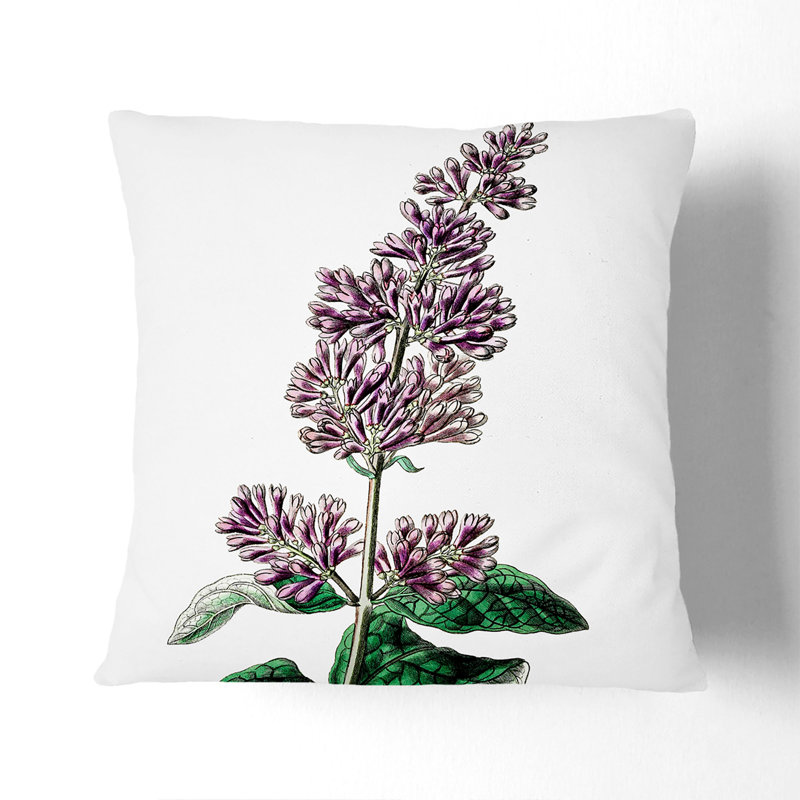 Square Cushion, 55cm H x 55cm W x 20cm D