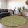 Premium Machine Washable Cerrito AMF572 Green Rug