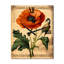 Horloge murale Jeanea-942053071