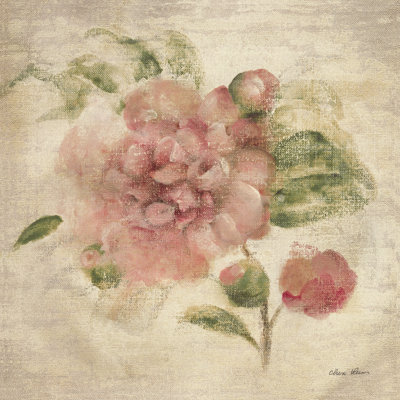 Dusty Pink Rose on Antique Linen Light by Cheri Blum
