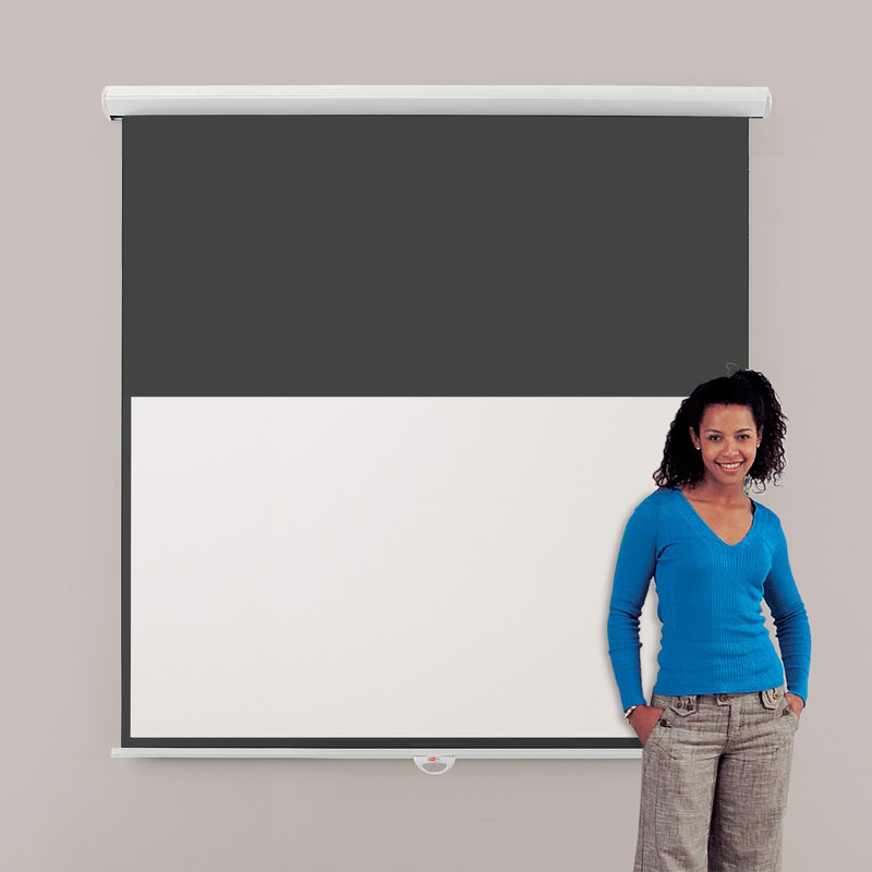 Symple Stuff Manual Projector Screen Projector Screen, 102cm H x 180cm W - Widescreen 16:9