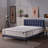 12'' Medium Memory Foam Mattress-1100221229