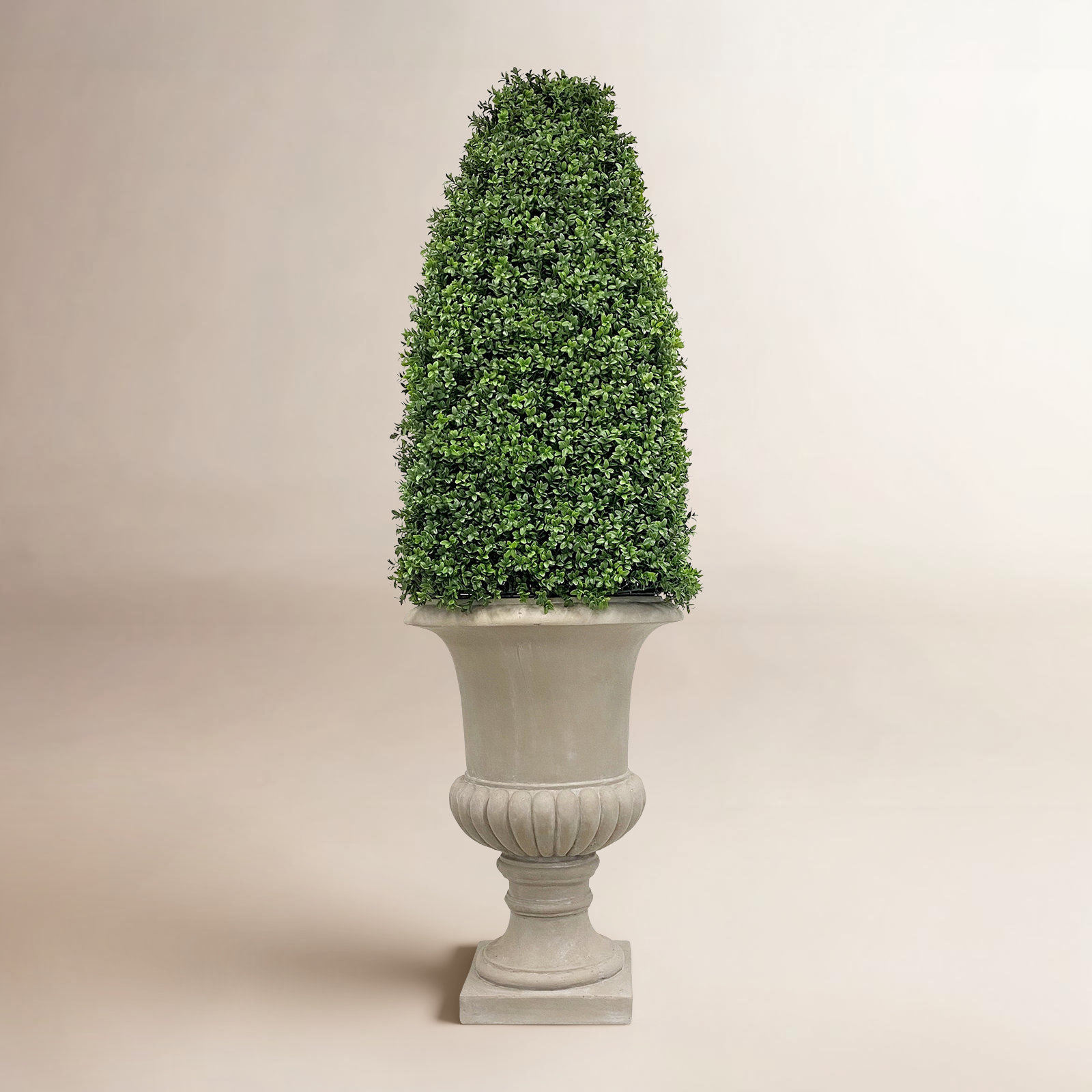 69" Boxwood Topiary in Urn