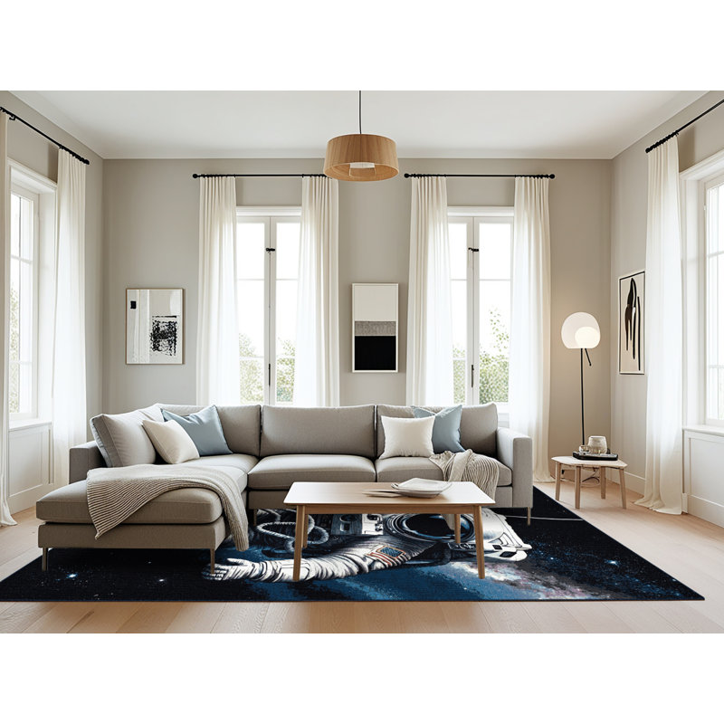 Tapis gris lavable à la machine, Rectangle 6 pi x 9 pi