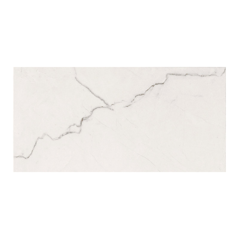 Beldale 24 in. x 48 in. Matte Porcelain Stone Look Floor and Wall Tile, Gravelle