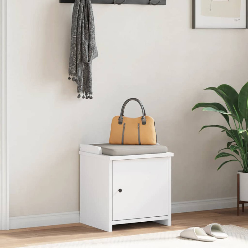 Sydalee Shoe Storage Cabinet, White