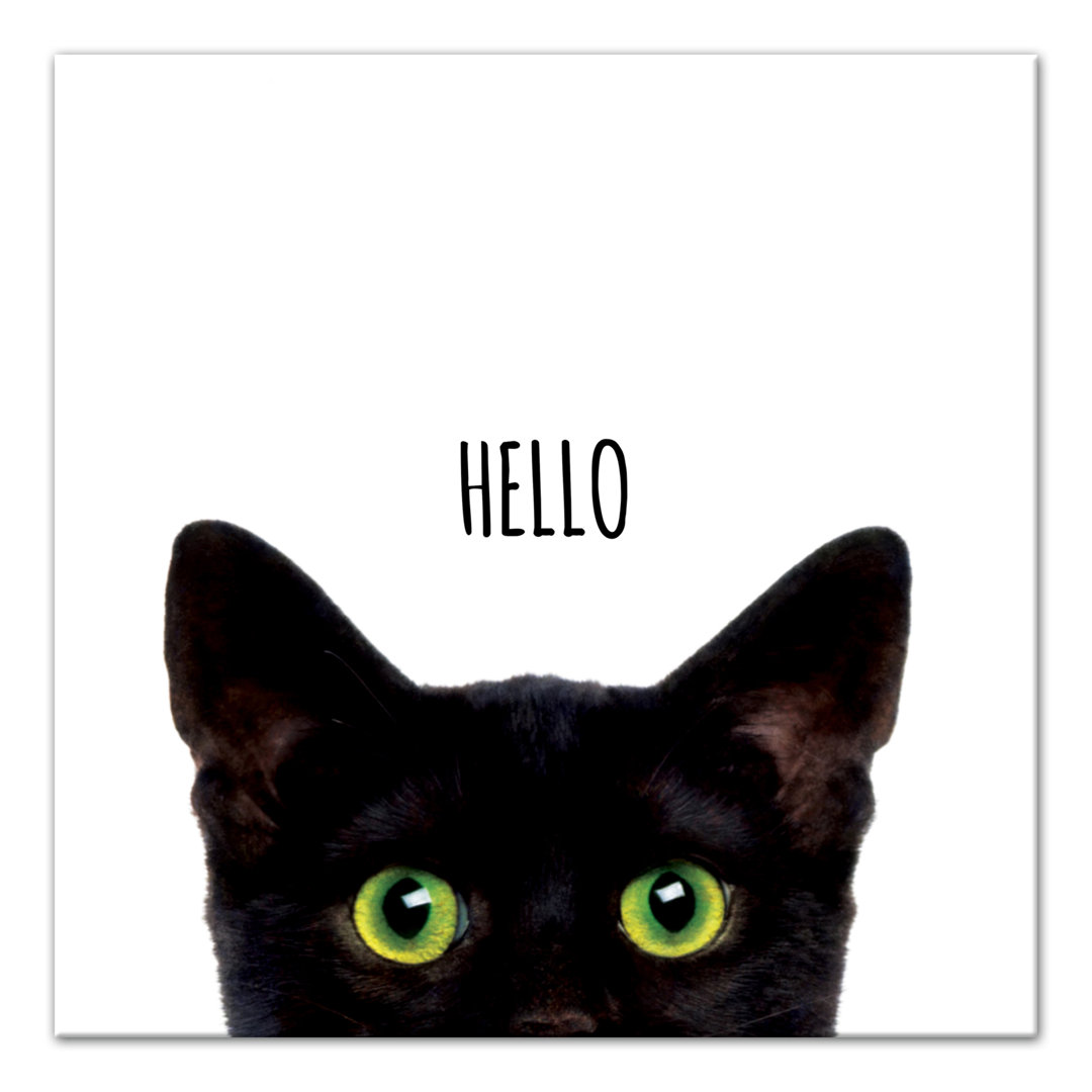 " Curious Hello Black Cat " East Urban Home