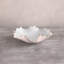 Encanto Colette Small Bowl-224034400