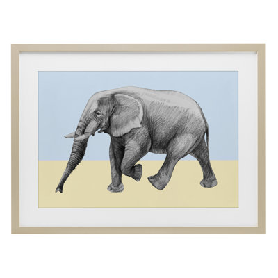 Stepping Elephant in Sketched Style Framed Print Under Glass, design by Violeta Vollmer