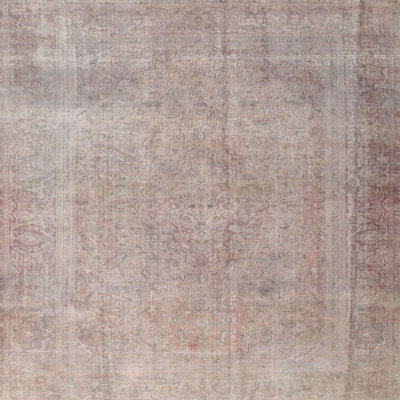Oriental Indoor Rug