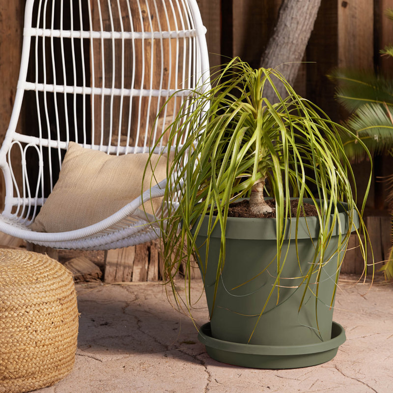 Pot à fleur intérieur / extérieur en plastique Terra, H 17 po x l 20,5 po x P 20,5 po, Vert vif