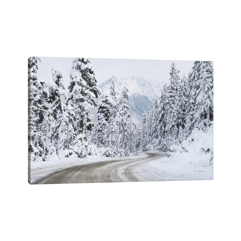 «Mount Baker Highway I» par Alan Majchrowicz - reproduction de photo sur toile tendue, H 8 po x l 12 po x P 0,75 po