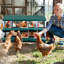 Egg Boxes & Baskets-863886167-863886163