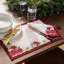 Serviette Aamira