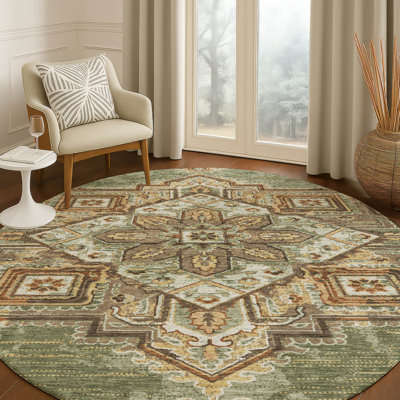Machine Washable Indoor/Outdoor Chantille ACN2704 Global Rug