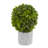 Boxwood Artificial Mini Topiary