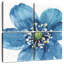Jardin Harnek bleu et vert V
