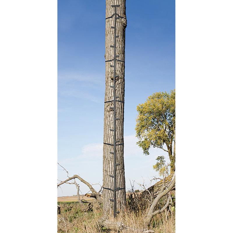 19 - Step Steel Straight Ladder