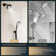 Classic Model 2-Function Shower System with Rough in-Valve