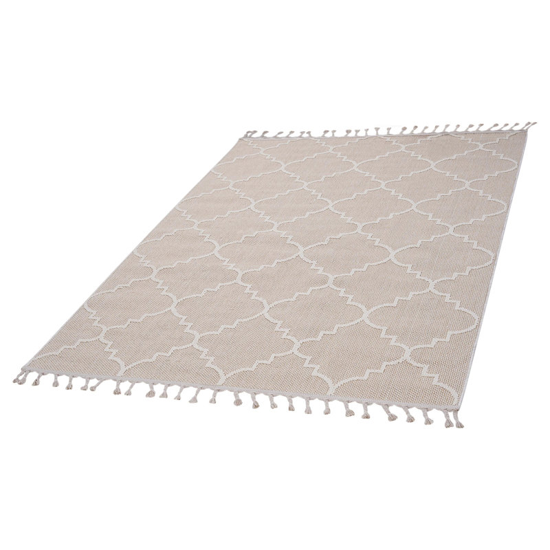 Collection Ivory /Trellis Indoor/Outdoor Area Rug, Rectangle 5'3" x 7'6"