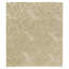 Paisley Area Rug in Beige/Neutral-45410702