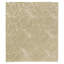 Paisley Area Rug in Beige/Neutral-45410704