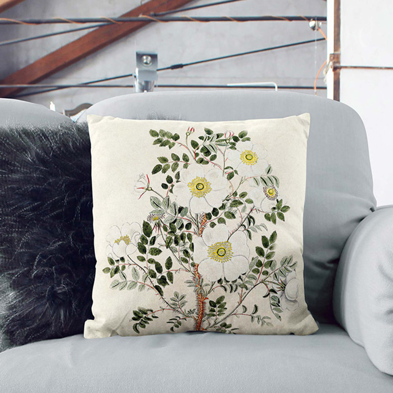Burnet Rose Flower Illustration Floral Square Throw Cushion, Stone, 55cm H x 55cm W x 20cm D