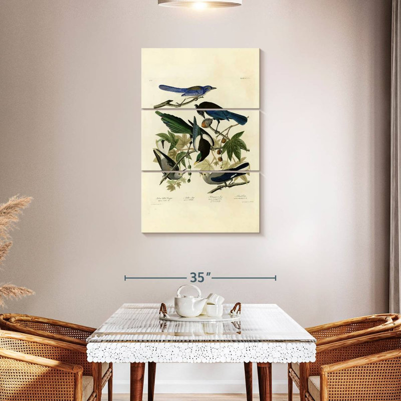 Assiette Brampt 362 d'oiseaux d'Amérique