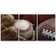 Close up Shot of Well Worn Baseball in Baseball Glove, Football and Basketball - 3 Piece Wrapped Canvas Photographic Print Set