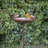 Doxey Copper Single Tier Birdbath