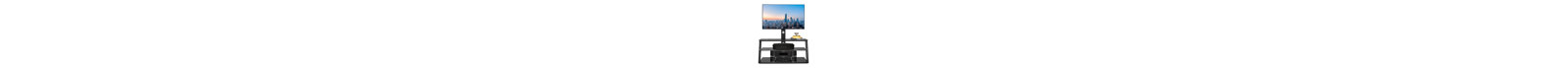 Amneh Latitude Run® Single Screen Floor Stand Mount