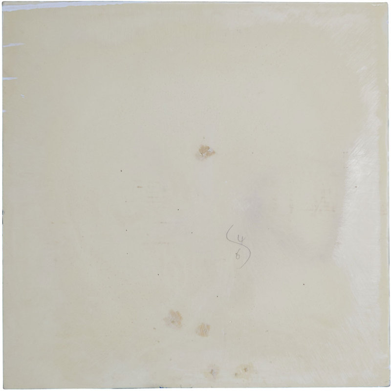 0.75'' L x 24'' W Polyurethane Glue Up Ceiling Tile In White